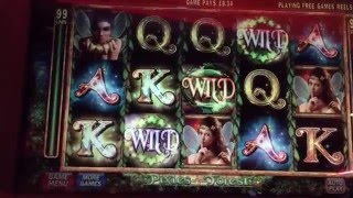 SLOT BONUS | Pixies of the Forest screenshot 3