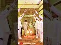 Indian Navy wedding love song 💙| Navy love status | #shorts #navy #viral #status