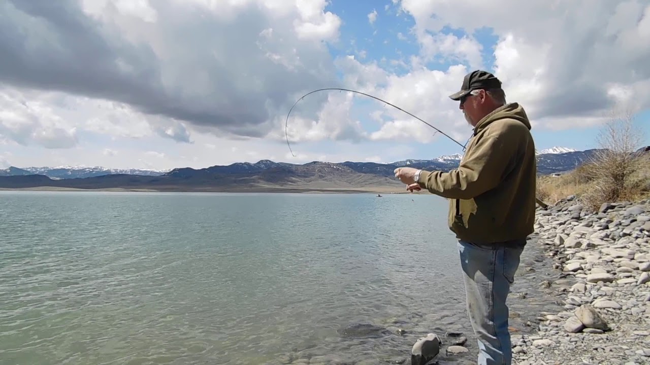 Cutthroat Trout Fishing in Meeteetse Wyoming Part 1 YouTube