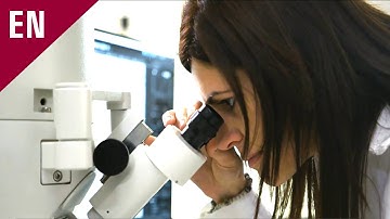 The CellNanOS at Osnabrück University