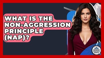 What Is The Non-Aggression Principle (NAP)? - Making Politics Simple