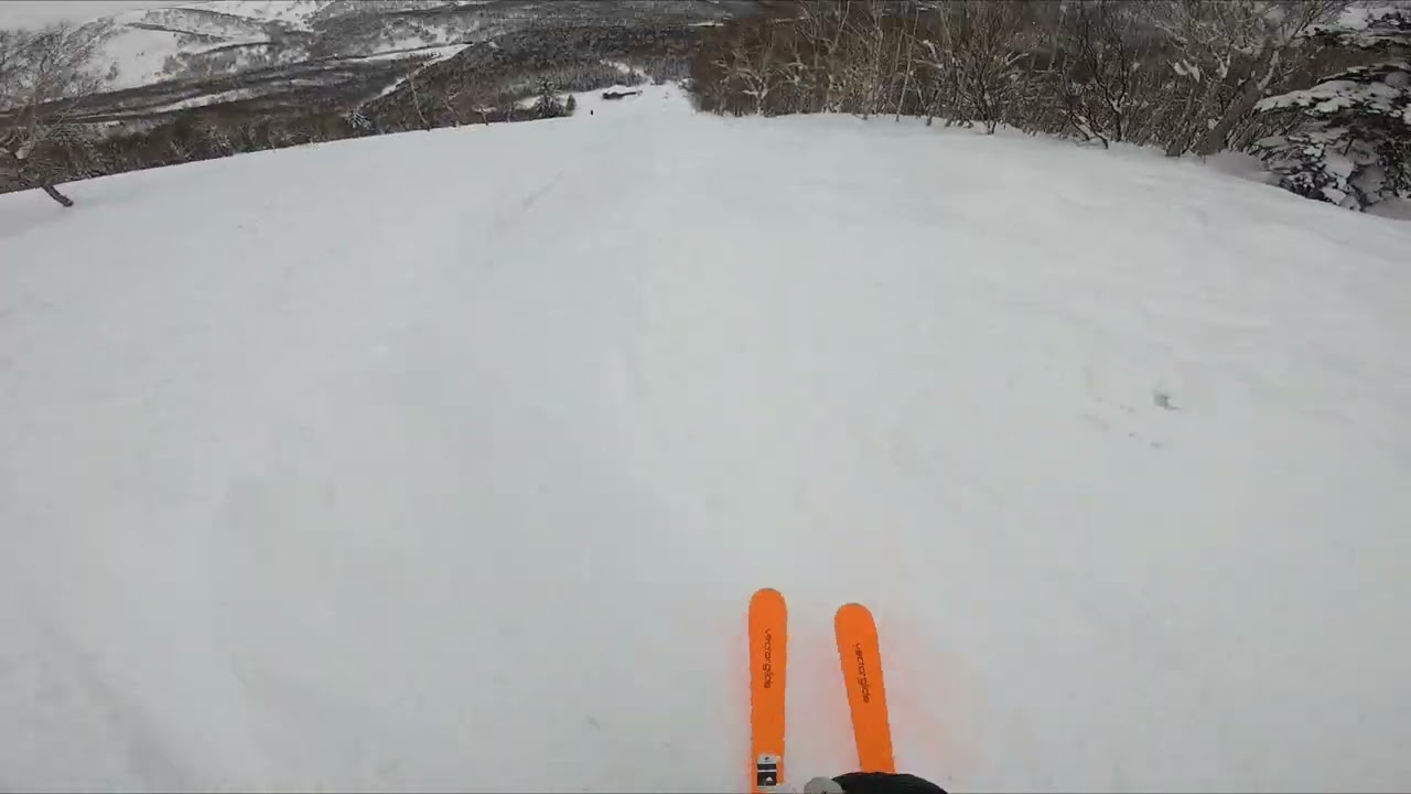 VECTOR GLIDE MAXI Gran Turismo 170 スキー 板 【公式通販】