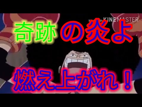 【MAD】【ワンピース】 デービーバックファイト最終戦コンバット×奇跡の炎よ 燃え上がれ!!