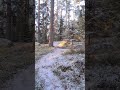 A cold walk 🥶 #nature #winter #pov #foryou #sweden #snow #freezing #forest #hiking #walk #trail