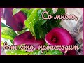 Мое сегодняшнее состояние.Прошу совета.Что с Ютубом?Анонс следующего видео.@Алла Ганова