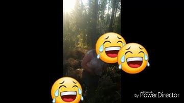 Logging in Oregon 2018