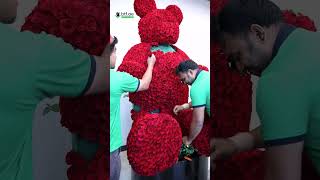 Giant Rose Teddy Bear 🌹🐻 | Luxury Flower Arrangement & Perfect Gift in Dubai