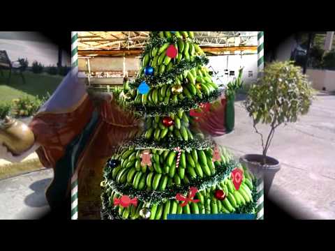 Medley Navideño Toby Muñoz Y Su Familia 