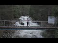 Drone flight meandering over raging river and among dense trees