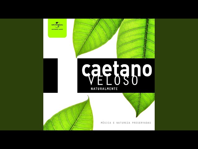 Qualquer Coisa (Remixed Original Album) - YouTube