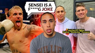 Jake Paul Calls Me Out... & I Sparred Stephen Wonderboy Thompson