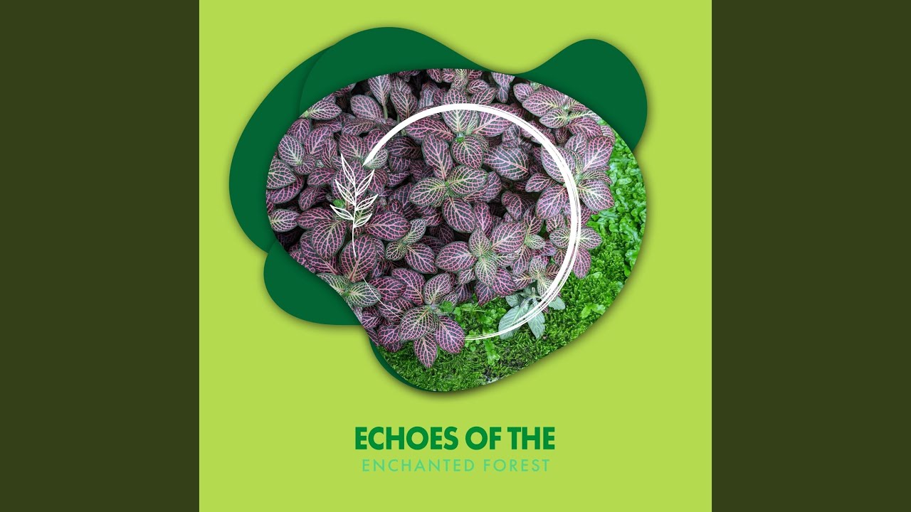 Newton Gill Wood in Summer