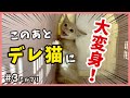 【威嚇からの秒デレ】保護した威嚇バリバリの子猫が甘えん坊に?【アイドル猫・ミルプリ3】/ cute kittens are idols