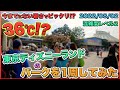 【夏休み】2022年08月上旬の東京ディズニーランドのパークを1周してみた
