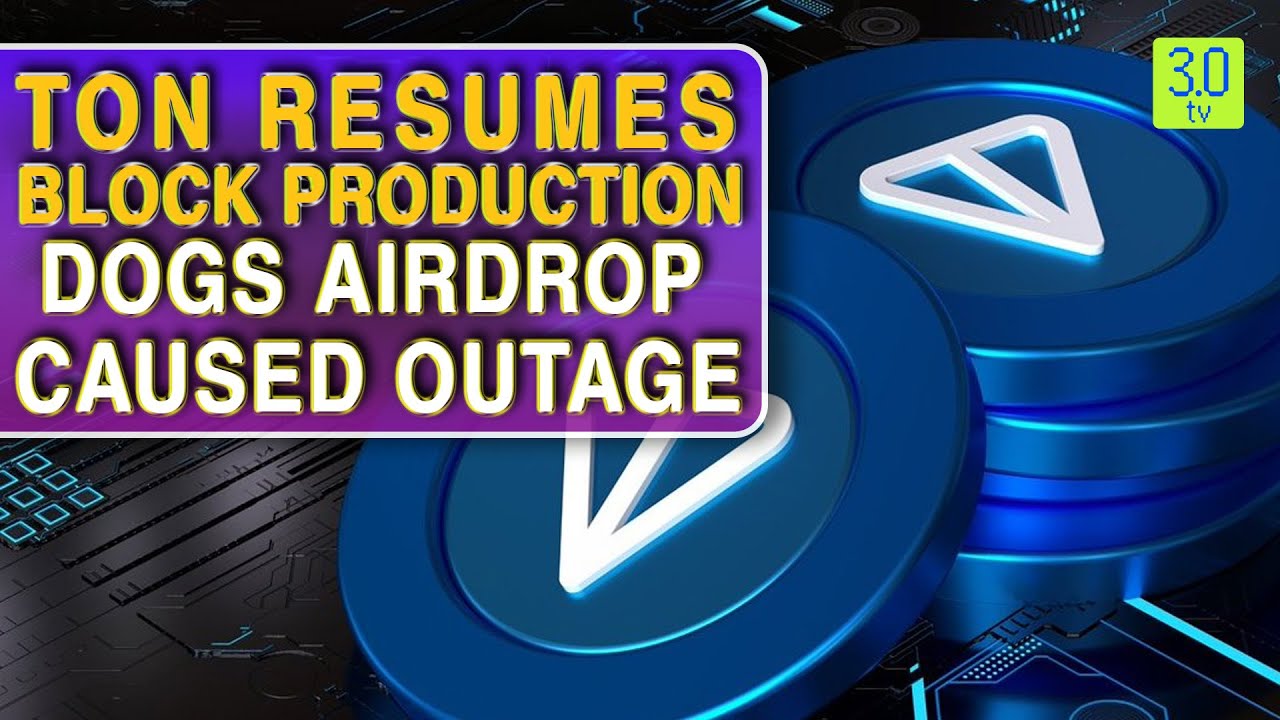 TON Resumes Block Production; DOGS Airdrop Caused Outage | Web3 | 3.0 TV