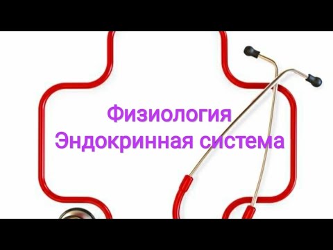 Видео: Съзнанието паразитира в животинското царство