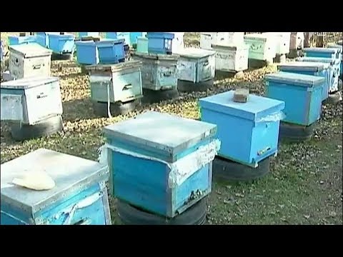 ტენდერიდან დისკვალიფიკაცია