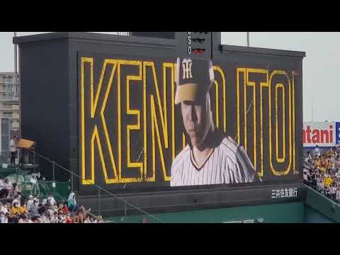 20220619　糸原健斗 奇数打席の登場曲【｢すきにやる｣／変態紳士クラブ】　9回ｳﾗ第5打席　阪神ﾀｲｶﾞｰｽ@阪神甲子園球場･ﾚﾌﾄ外野