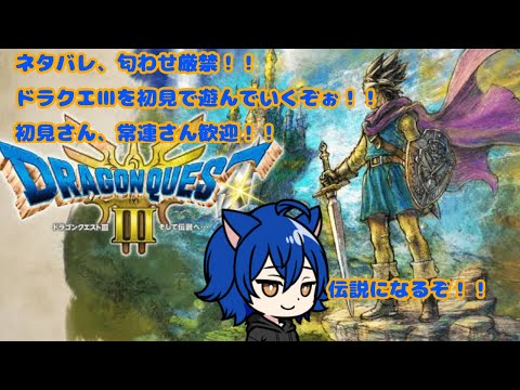 【ネタバレ　匂わせ厳禁】【ドラゴンクエストⅢ】今日は作業回！レベリング転職バトルロードとかやる！　　初めてのドラクエ！　伝説になりますか！！　(初見さん、常連さん歓迎)