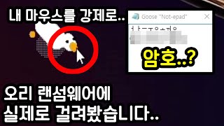 오리 랜섬웨어에 걸렸습니다...너무 무섭네요