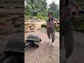Gara di VelocitÃ  con una Tartaruga ðŸ¢