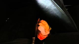 Road runner interior