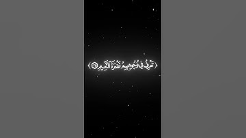 كروما شاشة سوداء محمد اللحيدان سورة المطففين