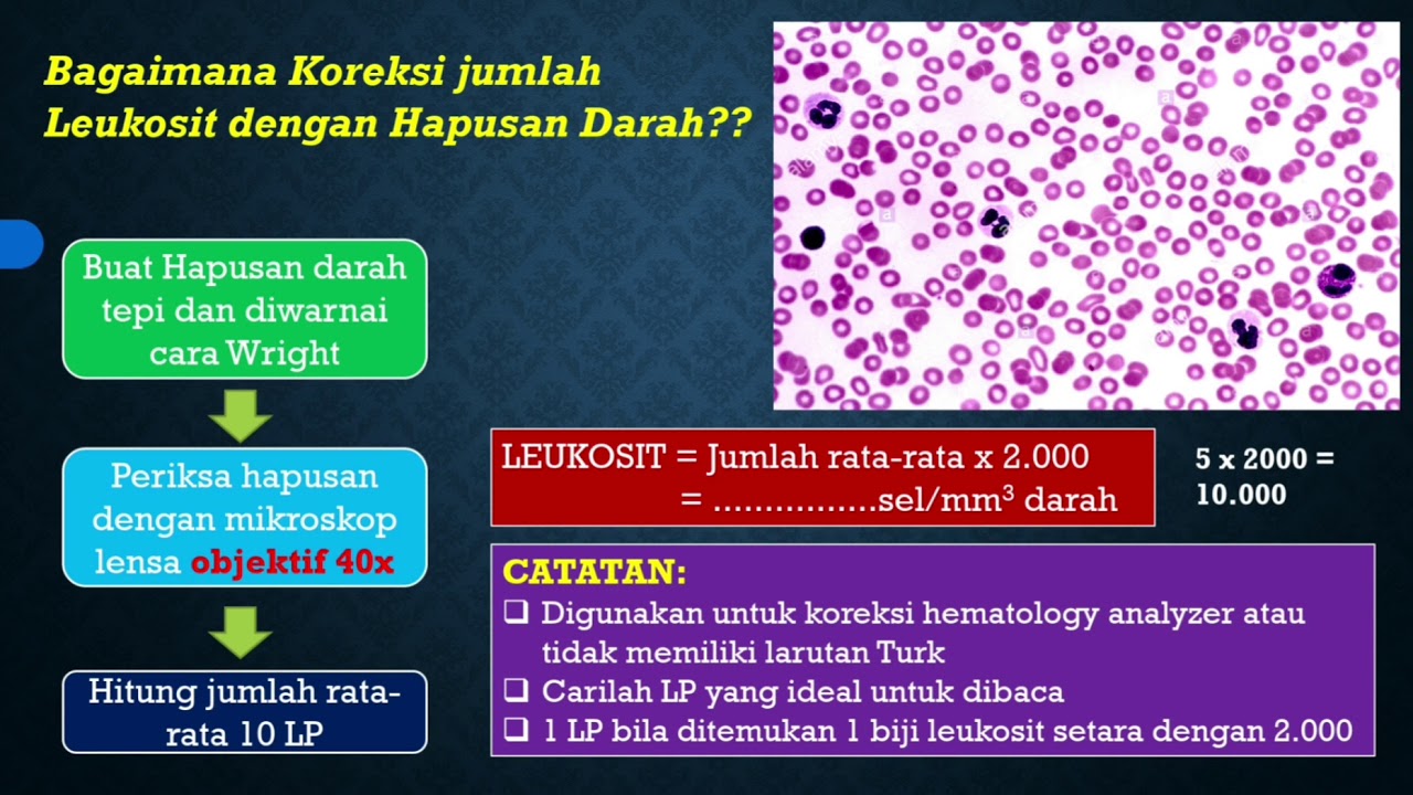 Laboratorium Klinik Jasalab Jalan Cikole Dalam No 5 Rt 03 Rw 07 Kel Cikole Kec Cikole Sukabumi 2021 Laboratorium Klinik Jasalab Jalan Cikole Dalam No 5 Rt 03 Rw 07 Kel Cikole Kec Cikole Sukabumi 2021