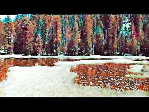 Frog Pond
