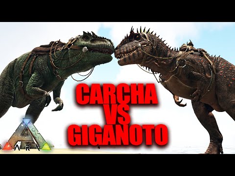 Vídeo: Quin és el carcharodontosaurus més gran que el giganotosaurus?