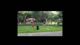 Throwing the Football with a Bouvier ❤ #bouvierdesflandres #shorts #dog