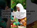 Foro Mundial de la Alimentación: Innovación, sostenibilidad y buenas prácticas agrícolas
