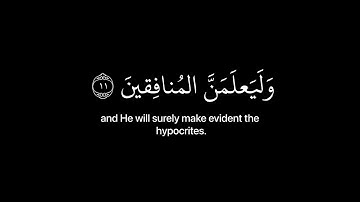 { اوليس الله بأعلم بما في صدور العالمين } كروما قران شاشه سوداء القارئ | عبدالرحمن مسعد