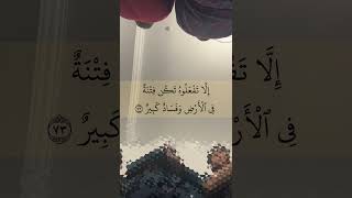 Мухаммад Абу Джабир. Сура: Анфаль