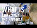 Biosystems engineering  pathways in engineering