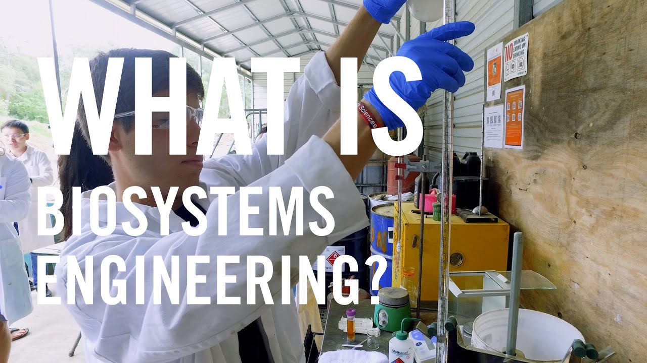 Biosystems Engineering Pathways In Engineering YouTube