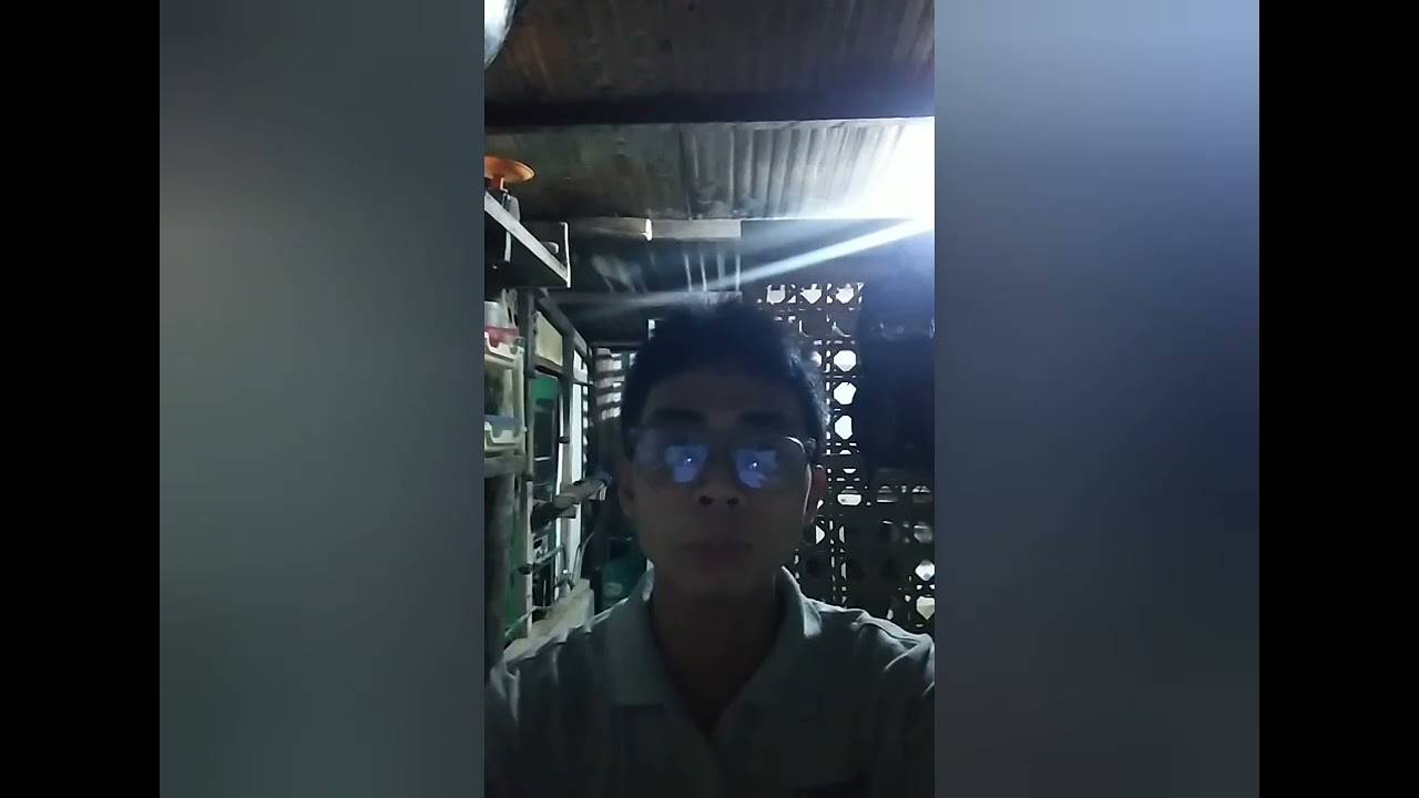 Democratic practices