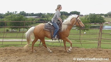 Goldi Flight - riding in the roundpen - ValleyViewRanch.net