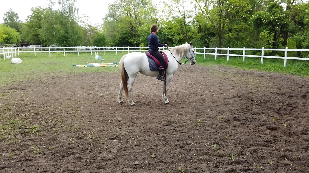 lovaglás alapfeladatok- földi munkára alapozva