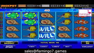 Wild Shark |  Flamingo7 screenshot 2