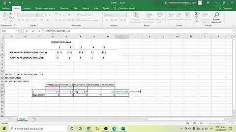 Programación Entera Binaria