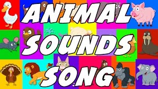 Animal Sound Song | These Are The Sounds That Animals Make | Original Songs For Kids