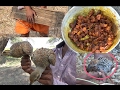 Village Guys Catching Partridge birds, Make Partridge Curry in village style, Kouju pitta Kura