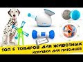 ✔ Топ 5 ИГРУШКИ ДЛЯ СОБАК / ТОВАРЫ ДЛЯ ЖИВОТНЫХ