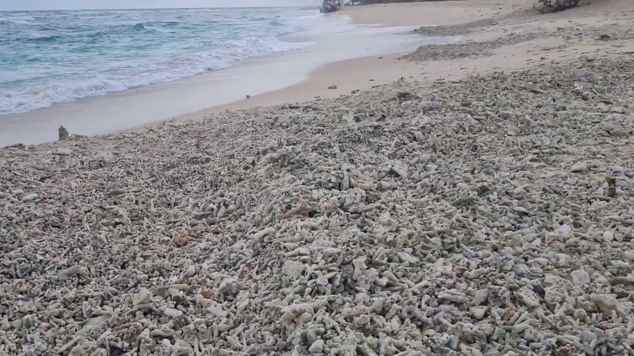 Beautiful Sampur beach