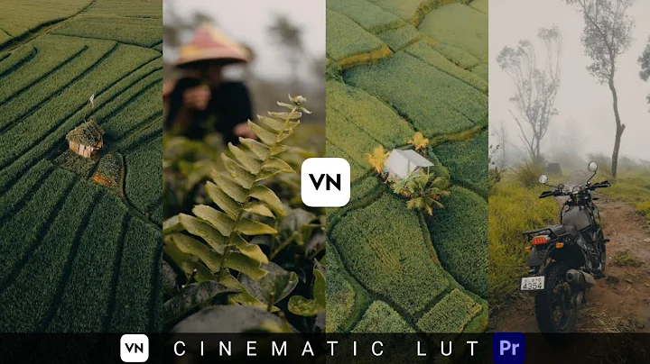 😱Free Cinematic Free Luts | VN Luts 😱 | Premiere Pro | Cinema |Colour Grading In Mobile (VN Editor)