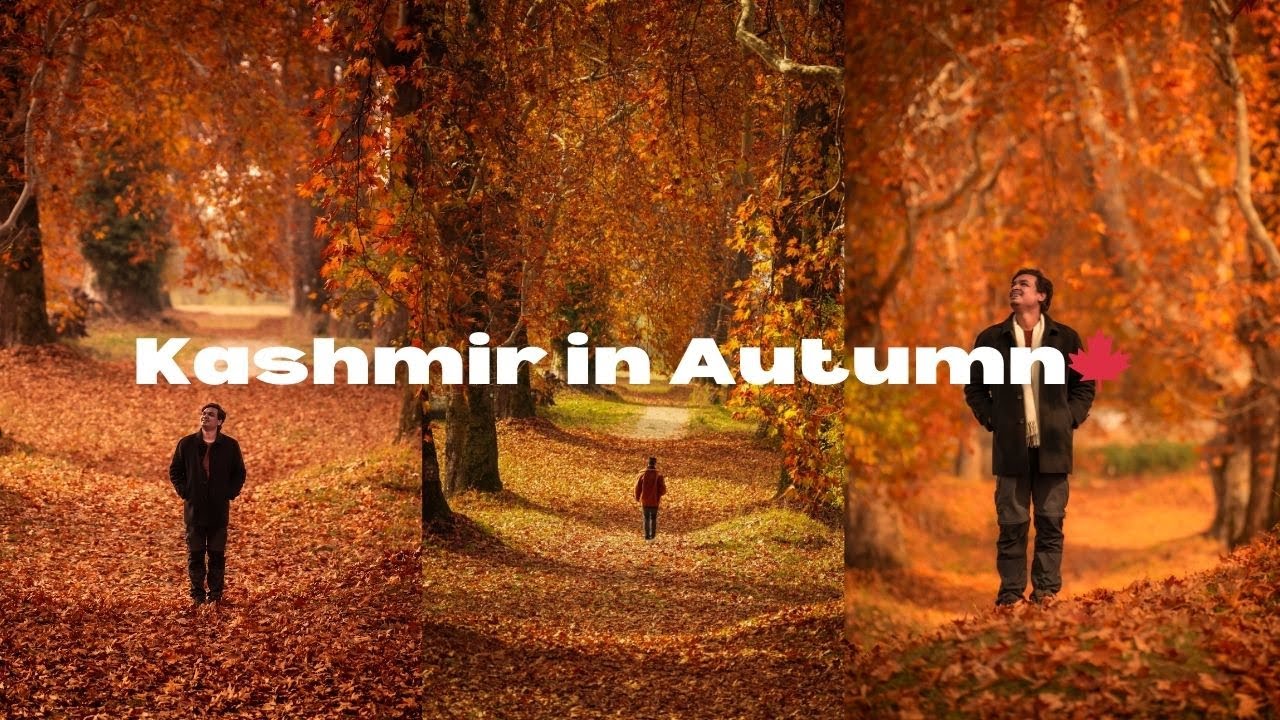 Exploring KASHMIR in Autumn 🍁 | Srinagar Best Itinerary, Stays & Expenses!