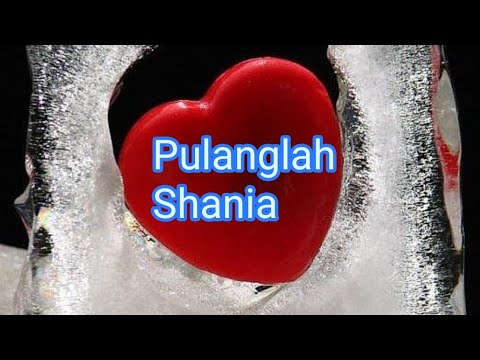 Febian - Pulanglah (Official Music Video)