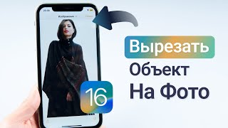 IOS 16 вырезать объект на фото! Как вырезать объект на фото в IOS 16? screenshot 2