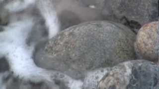 Point Judith, Narragansett RI Sounds of The Rocks HD